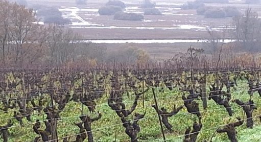 Enjeux environnementaux en Loire-Atlantique : entre actions de remédiation et héritage des conflits