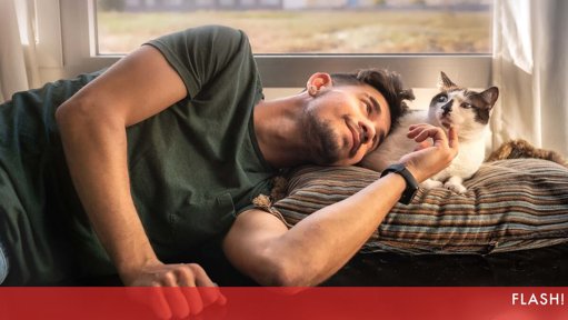 Estudo Revela que Gatos Preferem "Socializar" com Homens do que com Mulheres