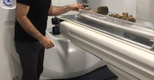 Descubrimiento del fósil de pliosáurido más antiguo de Colombia en Zapatoca, Santander