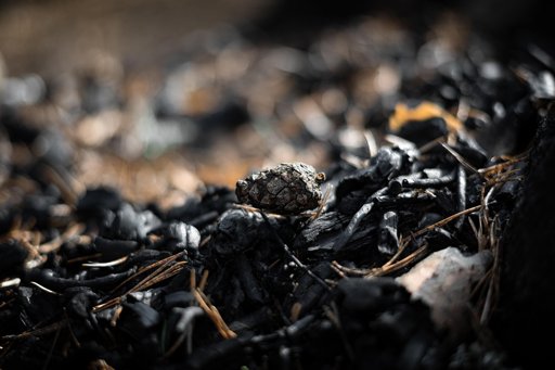 António José Seguro Foca Campanha em Temas Sociais e Económicos