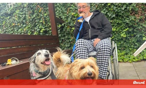 O Papel Terapêutico dos Animais na Recuperação de Nuno Markl