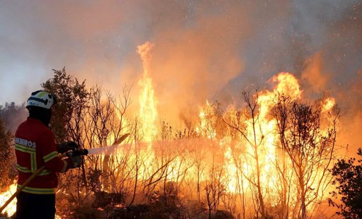 IPMA Coloca Mais de 20 Concelhos em Perigo Máximo de Incêndio Rural