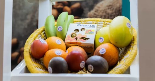 EE.

UU.

Ofrece a Colombia Acceso sin Aranceles a Cambio de 'Alineamiento' Estratégico