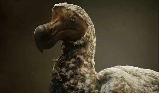 El Proyecto para Resucitar al Dodo Avanza con Hitos en Biotecnología