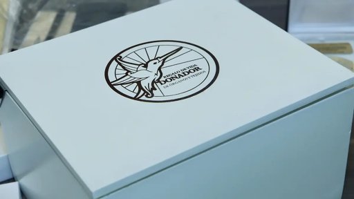 Guanajuato rompe récord de donación de órganos gracias a la generosidad de un joven de Silao