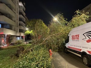 Le vent d'Autan cause des dégâts matériels