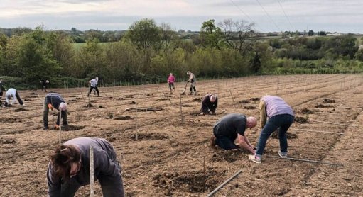 Des collectifs citoyens se mobilisent pour la plantation d'arbres et de haies dans le paysage nantais