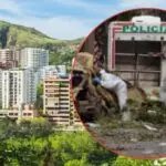 Sector hotelero y turístico de Cali enfrenta cancelaciones tras atentado y alerta de EE.

UU.