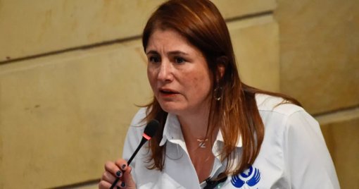 Ley de Sometimiento inicia trámite en el Congreso con fuertes reparos de la Defensoría del Pueblo