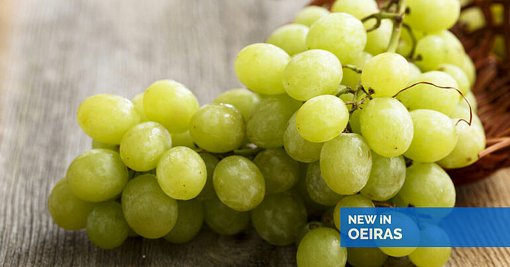 A Nova Tendência Viral: Uvas com Sabor a Algodão-Doce e Manga
