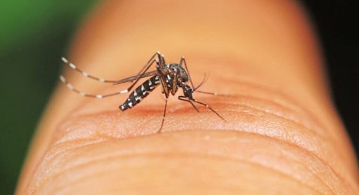 Enjeux de santé publique à Rennes : entre nouvelles menaces et prévention citoyenne