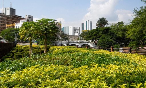 Administración de Cali lanza Plan Maestro de Sostenibilidad enfocado en descarbonización y biodiversidad