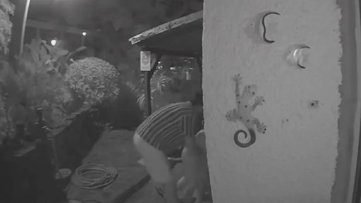 Vídeo de violência doméstica na Madeira gera onda de indignação e debate nacional