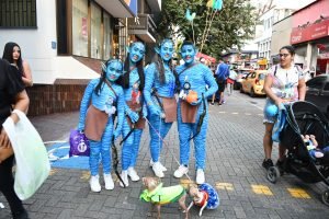 Alcaldía de Pereira implementó estrictas medidas de seguridad durante la celebración de Halloween