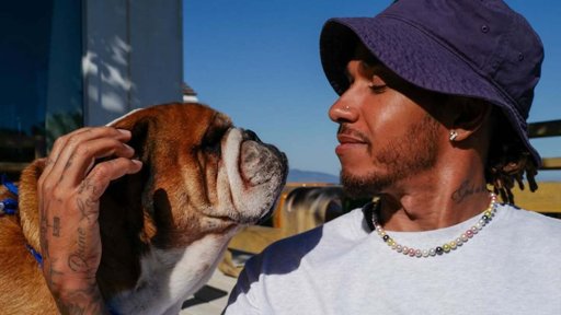 Lewis Hamilton Pide Apoyo para su Perro Roscoe en un Emotivo Mensaje en Instagram
