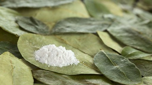 Estudo Pede Reclassificação da Folha de Coca, Distinguindo-a da Cocaína