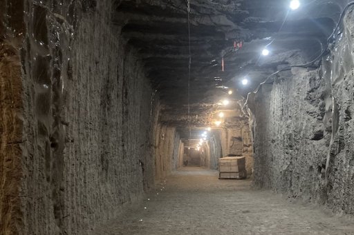 Cientistas ressuscitam micróbios de 40.000 anos presos no permafrost