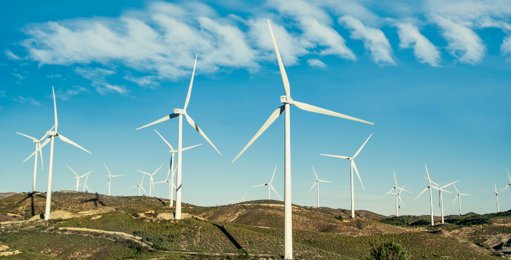 Startup Spotlite arrecada 3,5 milhões de euros para expansão internacional