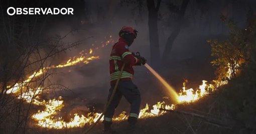 Incêndio em empresa de sucata em São Pedro do Sul provoca ferimentos ligeiros a bombeiro