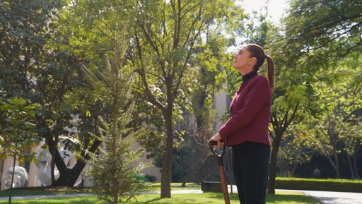 Sheinbaum envía mensaje de Año Nuevo y promete dedicación 'en cuerpo y alma' a México