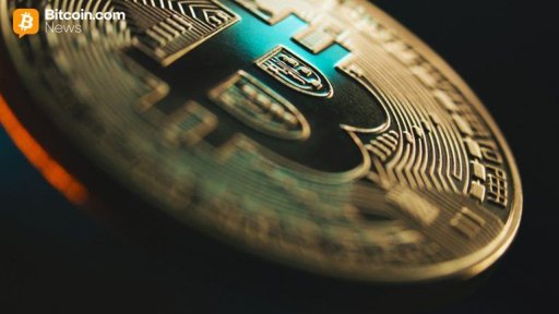 Adopción Institucional de Bitcoin se Dispara con un Aumento del 40% en Tenedores Corporativos
