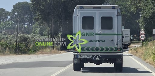 GNR Identifica Suspeito de Maus-Tratos a Dois Cães em Mangualde