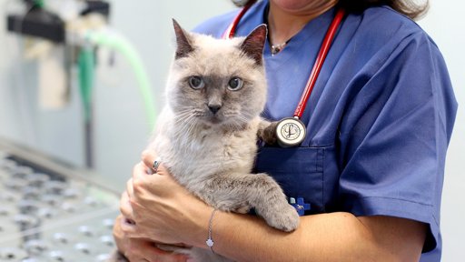 Espanhola Nuzoa adquire a portuguesa Sanifauna para crescer na Península Ibérica
