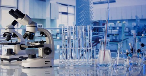 Cientistas criam óvulos artificiais a partir de células da pele e geram embriões