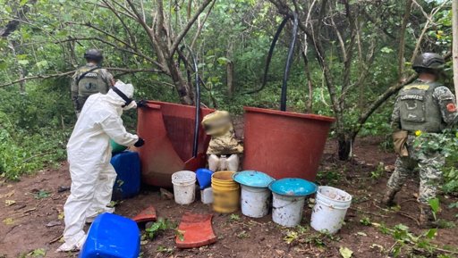 Fuerzas federales desmantelan narcolaboratorios y realizan operativos en zonas rurales de Culiacán
