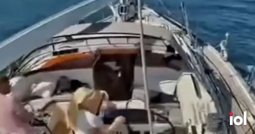 O Mistério das Orcas: Ataques a Veleiros na Costa Portuguesa Intrigam Biólogos e Assustam Navegadores