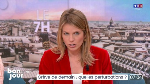 Affaire Jubillar : une audience décisive sur l'autorité parentale