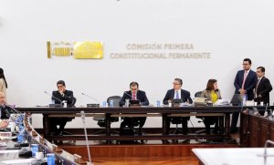 Avanza en el Senado proyecto de ley "anti-clanes" para limitar poder político familiar