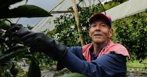 Organizaciones campesinas logran respaldo en el Congreso para impulsar la Consulta Campesina