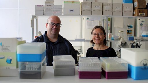 Terapia Molecular Inovadora Acelera Cicatrização em Pessoas com Diabetes