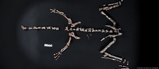 Doble hallazgo paleontológico en Argentina reescribe la historia de los dinosaurios