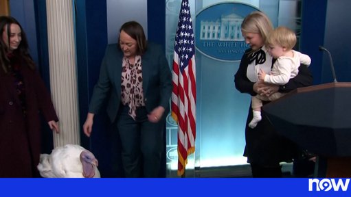 Cerimónia de Perdão de Perus Usada por Trump para Ataques Políticos