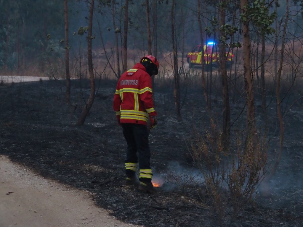 Incêndio em Ponte da Barca Consome Mais de 7 Mil Hectares no Parque Nacional da Peneda-Gerês