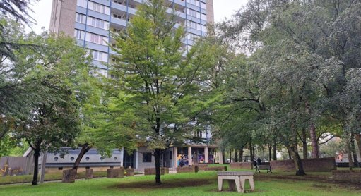 Rennes et Brno célèbrent 60 ans d'amitié et d'échanges culturels