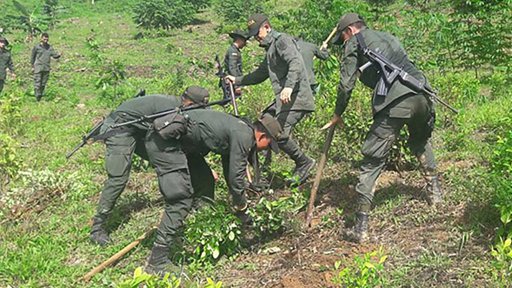 Colombia en vilo ante inminente decisión de EE.

UU. sobre certificación antidrogas
