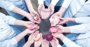 Fortalecimiento de Programas de Salud Pública y Educación Inclusiva