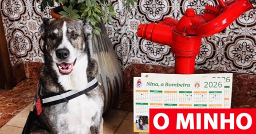Nina, a “cadela bombeira” de Viana do Castelo, protagoniza calendário solidário