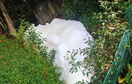 Derrame accidental de jabón provoca inusual capa de espuma en quebradas de La Ceja