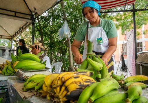 Reactivan la Feria Campesina en el Parque La Factoría de Palmira