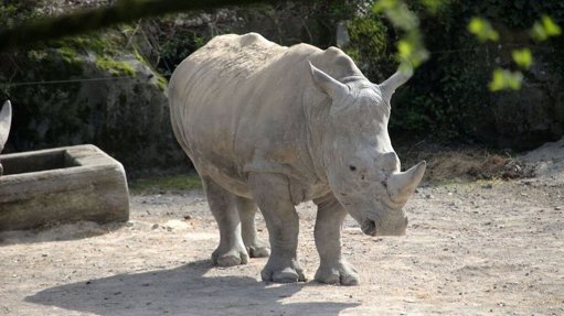 Conservation et festivités au Zoo de la Boissière-du-Doré, près de Nantes