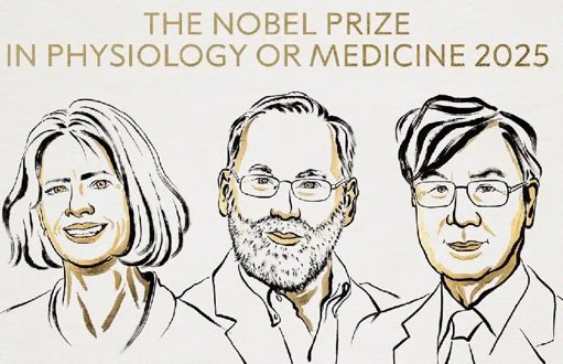 Nobel de Medicina 2025 para pioneros del control inmunológico
