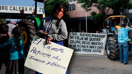 Productores de maíz paralizan carreteras en varios estados; gobierno pacta acuerdos parciales