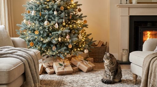 La cohabitation entre les chats et les sapins de Noël