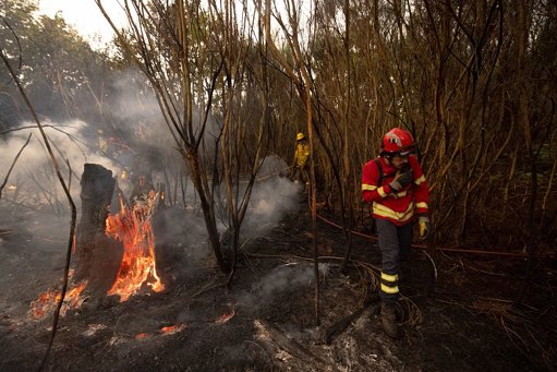 IPMA Coloca Mais de 50 Concelhos em Perigo Máximo de Incêndio Rural
