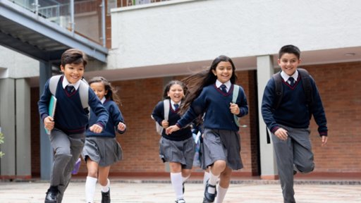 Ley Empatía: Colombia Implementará la Protección Animal como Materia Escolar