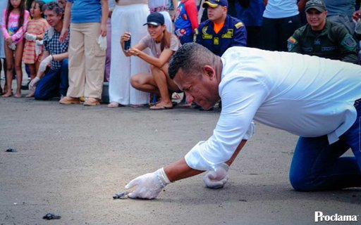 Tumaco impulsa la conservación marina con el proyecto Tortugario del Pacífico y la liberación de neonatos de tortuga